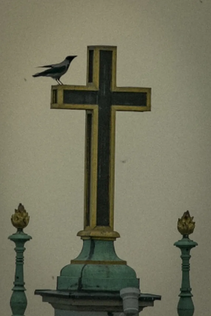 Black bird perched on the arm of a church cross above an ornate column